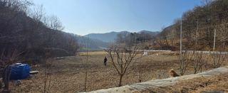 강호지인님의 기타작물 · 영농일지 작성글 사진