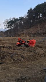 팜모닝 사과·영농일지 게시글 이미지