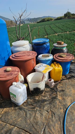 유기농으로키우자님의 기타작물 · 영농일지 작성글 사진