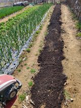 팜모닝 기타작물·영농일지 게시글 이미지