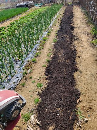 늘찬님의 작성글 사진