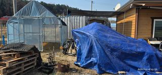 산골아찌님의 기타작물 · 영농일지 작성글 사진