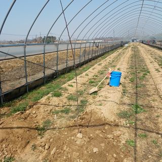 김진영님의 기타작물 · 영농일지 작성글 사진