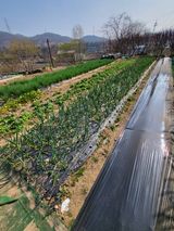 늘찬님의 작성글 사진