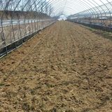 김진영님의 작성글 사진