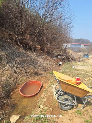이수홍(이창희)님의 기타작물 · 영농일지 작성글 사진