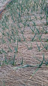 bpjh9173님의 작성글 사진