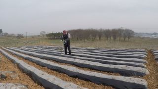 김도영님의 옥수수 · 영농일지 작성글 사진