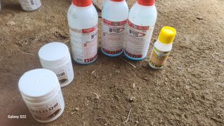 김준한님의 작성글 사진