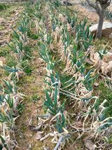 엄기덕님의 작성글 사진