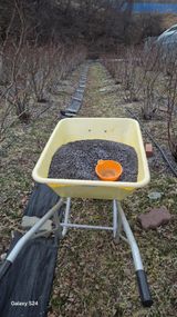 팜모닝 블루베리·영농일지 게시글 이미지