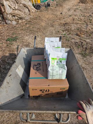 김윤회님의 파 · 영농일지 작성글 사진