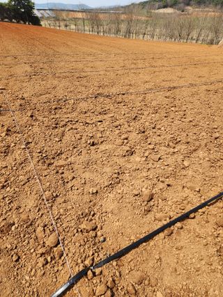 김저팔계님의 기타작물 · 영농일지 작성글 사진