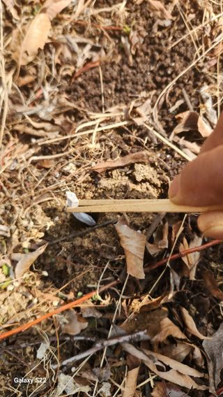 김준한님의 자두 · 영농일지 작성글 사진