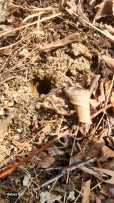 김준한님의 작성글 사진