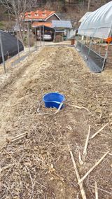 팜모닝 고구마·영농일지 게시글 이미지