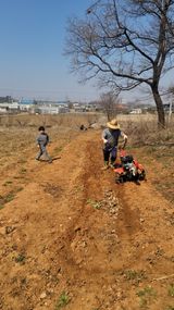 로만아빠님의 작성글 사진