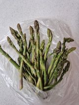 팜모닝 기타작물·영농일지 게시글 이미지