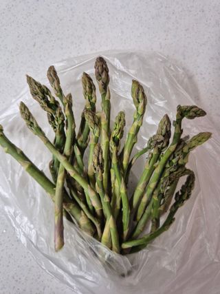 김기탁님의 기타작물 · 영농일지 작성글 사진