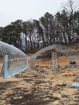 최연숙님의 작성글 사진