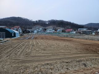 온바위님의 기타작물 · 영농일지 작성글 사진