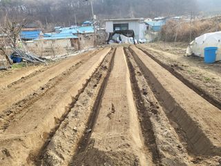 전선경님의 기타작물 · 영농일지 작성글 사진