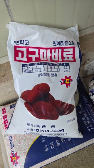  조약돌님의 고구마 · 영농일지 작성글 사진