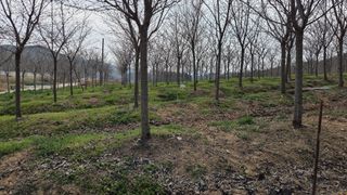 정진우님의 기타작물 · 영농일지 작성글 사진