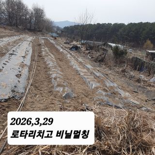 시민농장님의 기타작물 · 영농일지 작성글 사진