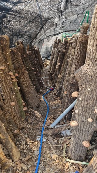 김동명님의 기타작물 · 영농일지 작성글 사진