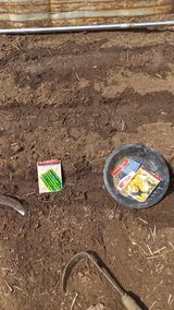 팜모닝 기타작물·영농일지 게시글 이미지