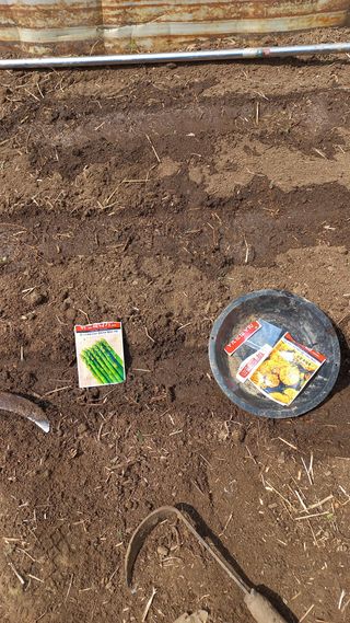 초보 구찌뽕님의 기타작물 · 영농일지 작성글 사진