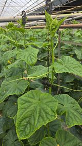 박범순님의 작성글 사진