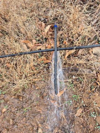 엉뚱님의 기타작물 · 영농일지 작성글 사진