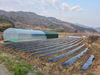 선암농군님의 기타작물 · 영농일지 작성글 사진