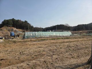 김윤회님의 파 · 영농일지 작성글 사진