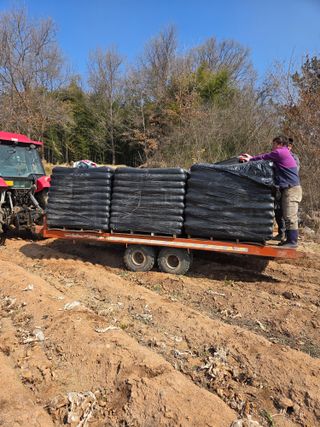 홍순오님의 기타작물 · 영농일지 작성글 사진