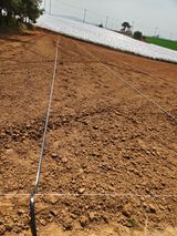 팜모닝 기타작물·영농일지 게시글 이미지