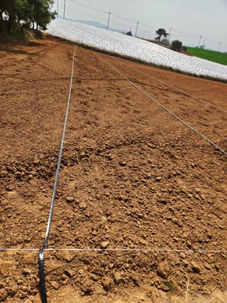 김저팔계님의 기타작물 · 영농일지 작성글 사진