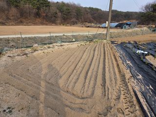 장두학님의 기타작물 · 영농일지 작성글 사진