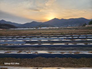 권지연.옥천.님의 기타작물 · 영농일지 작성글 사진