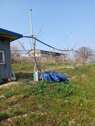 성재엄마님의 복숭아 · 영농일지 작성글 사진
