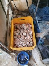 최군환님의 작성글 사진