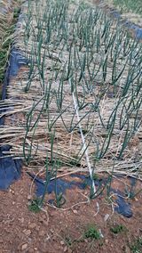 bpjh9173님의 작성글 사진