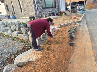 송명식님의 기타작물 · 영농일지 작성글 사진