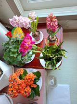 결단이님의 작성글 사진