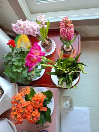 결단이님의 기타작물 · 영농일지 작성글 사진