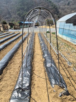 남기탁 님의 기타작물 · 영농일지 작성글 사진