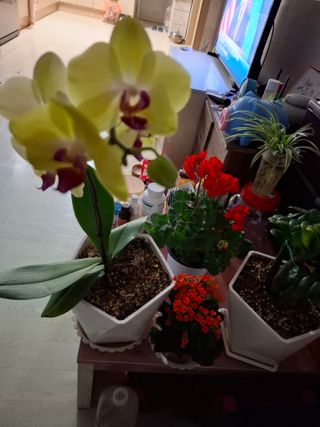 결단이님의 기타작물 · 영농일지 작성글 사진