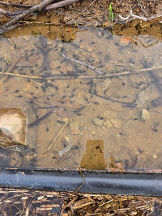 김성환님의 기타작물 · 영농일지 작성글 사진